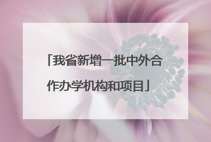 我省新增一批中外合作办学机构和项目