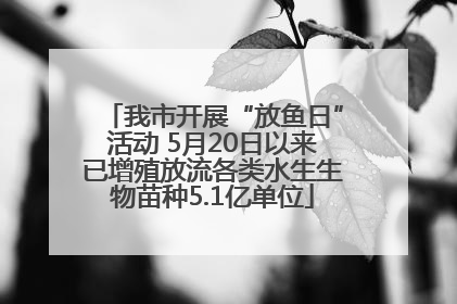 我市开展“放鱼日”活动 5月20日以来已增殖放流各类水生生物苗种5.1亿单位