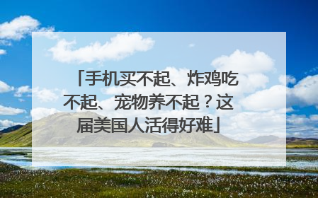手机买不起、炸鸡吃不起、宠物养不起？这届美国人活得好难