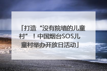 打造“没有院墙的儿童村”！中国烟台SOS儿童村举办开放日活动