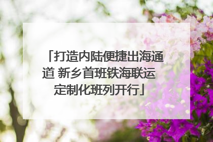 打造内陆便捷出海通道 新乡首班铁海联运定制化班列开行