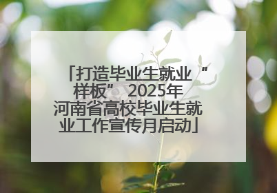 打造毕业生就业“样板” 2025年河南省高校毕业生就业工作宣传月启动