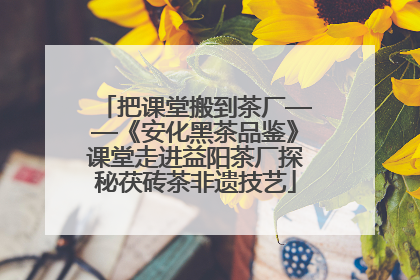 把课堂搬到茶厂——《安化黑茶品鉴》课堂走进益阳茶厂探秘茯砖茶非遗技艺