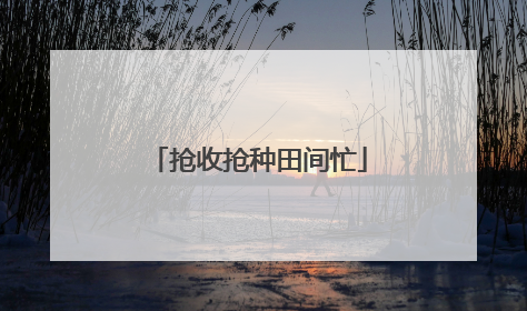 抢收抢种田间忙