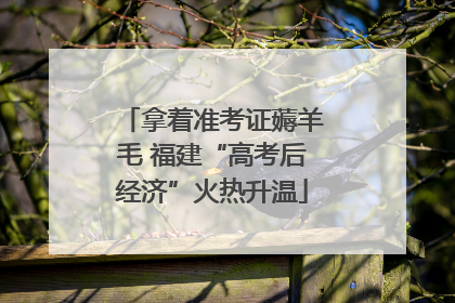 拿着准考证薅羊毛 福建“高考后经济”火热升温