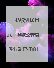 持续到10月底！聊城公安夏季行动已打响
