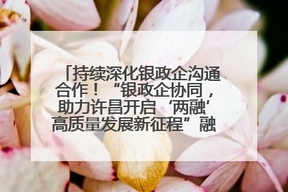 持续深化银政企沟通合作！“银政企协同，助力许昌开启‘两融’高质量发展新征程”融资对接会举行
