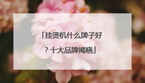 挂烫机什么牌子好？十大品牌揭晓