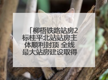 柳梧铁路站房2标桂平北站站房主体顺利封顶 全线最大站房建设取得关键突破