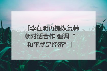 李在明再提恢复韩朝对话合作 强调“和平就是经济”