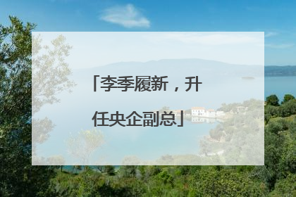 李季履新，升任央企副总