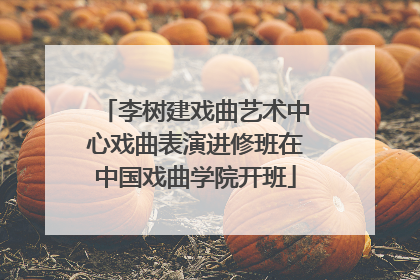 李树建戏曲艺术中心戏曲表演进修班在中国戏曲学院开班