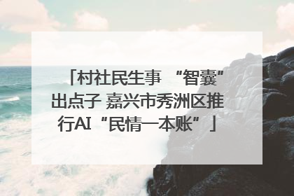 村社民生事 “智囊”出点子 嘉兴市秀洲区推行AI“民情一本账”