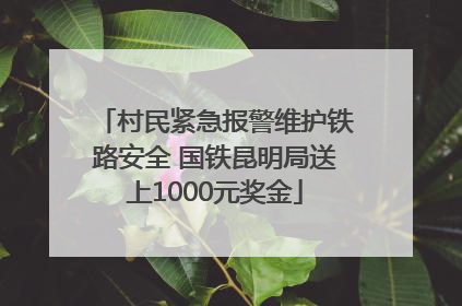 村民紧急报警维护铁路安全 国铁昆明局送上1000元奖金