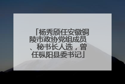 杨秀颀任安徽铜陵市政协党组成员、秘书长人选，曾任枞阳县委书记