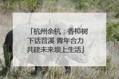 杭州余杭：香樟树下话苕溪 青年合力共建未来坝上生活