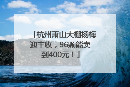 杭州萧山大棚杨梅迎丰收，96颗能卖到400元！