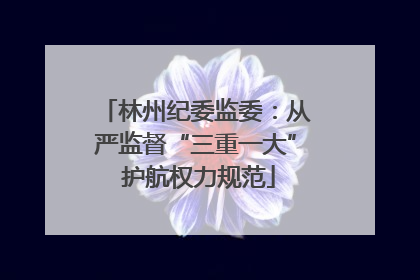 林州纪委监委：从严监督“三重一大” 护航权力规范