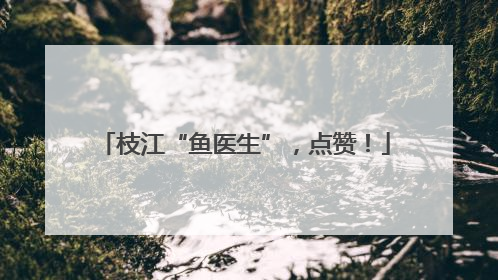 枝江“鱼医生”，点赞！