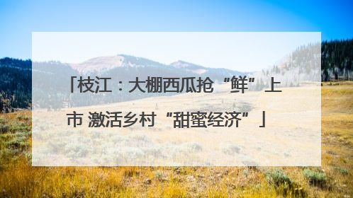 枝江：大棚西瓜抢“鲜”上市 激活乡村“甜蜜经济”