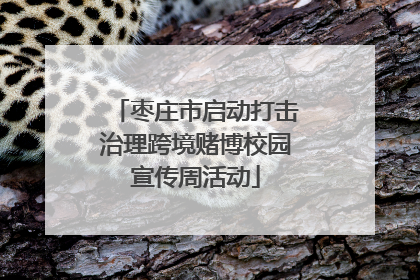 枣庄市启动打击治理跨境赌博校园宣传周活动