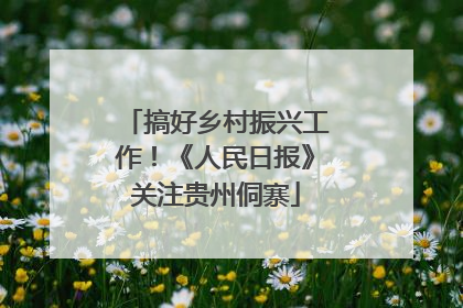 搞好乡村振兴工作！《人民日报》关注贵州侗寨
