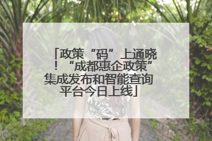 政策“码”上通晓！“成都惠企政策”集成发布和智能查询平台今日上线
