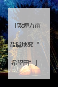 敦煌万亩盐碱地变“希望田”