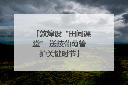 敦煌设“田间课堂” 送技葡萄管护关键时节