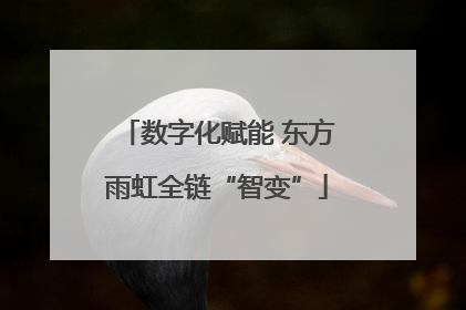 数字化赋能 东方雨虹全链“智变”