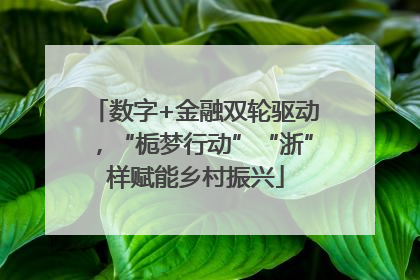 数字+金融双轮驱动，“栀梦行动”“浙”样赋能乡村振兴