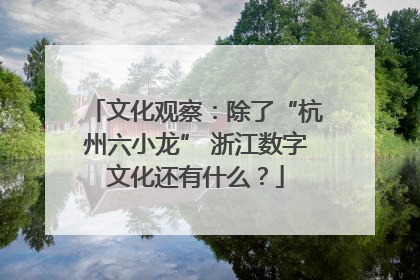 文化观察：除了“杭州六小龙” 浙江数字文化还有什么？