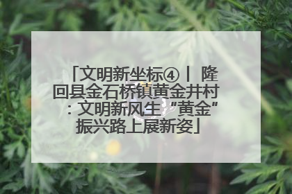文明新坐标④丨 隆回县金石桥镇黄金井村：文明新风生“黄金” 振兴路上展新姿