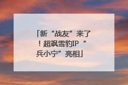 新“战友”来了！超飒雪豹IP“兵小宁”亮相