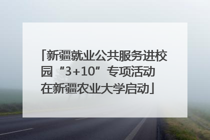 新疆就业公共服务进校园“3+10”专项活动在新疆农业大学启动
