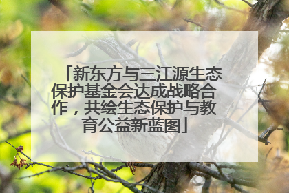 新东方与三江源生态保护基金会达成战略合作，共绘生态保护与教育公益新蓝图