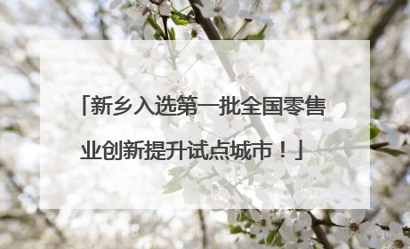新乡入选第一批全国零售业创新提升试点城市！