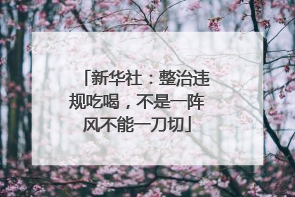 新华社：整治违规吃喝，不是一阵风不能一刀切