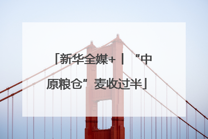 新华全媒+丨“中原粮仓”麦收过半