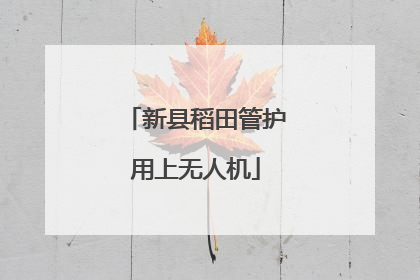 新县稻田管护用上无人机