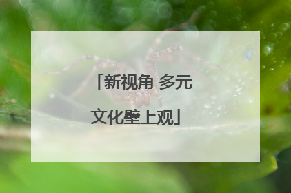 新视角 多元文化壁上观
