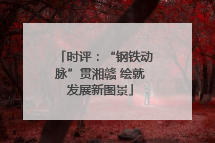 时评：“钢铁动脉”贯湘赣 绘就发展新图景