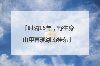 时隔15年，野生穿山甲再现湖南桂东