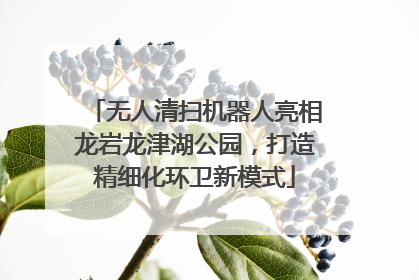 无人清扫机器人亮相龙岩龙津湖公园，打造精细化环卫新模式