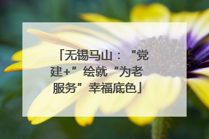 无锡马山：“党建+”绘就“为老服务”幸福底色
