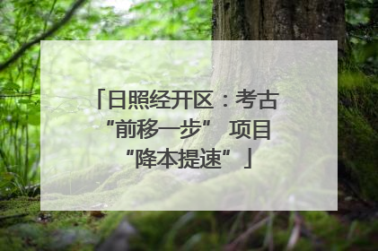 日照经开区：考古“前移一步” 项目“降本提速”