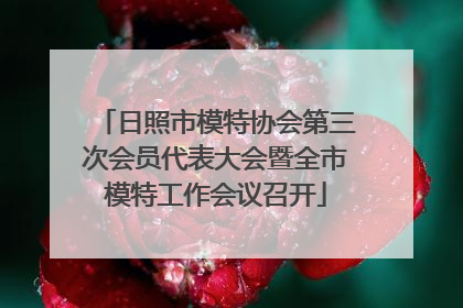 日照市模特协会第三次会员代表大会暨全市模特工作会议召开