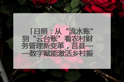 日照：从“流水账”到“云台账”看农村财务管理新变革，莒县——数字赋能激活乡村振兴“一池春水”