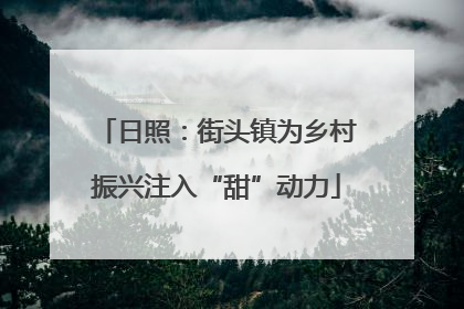 日照：街头镇为乡村振兴注入“甜”动力