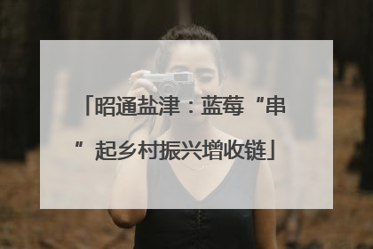 昭通盐津：蓝莓“串”起乡村振兴增收链